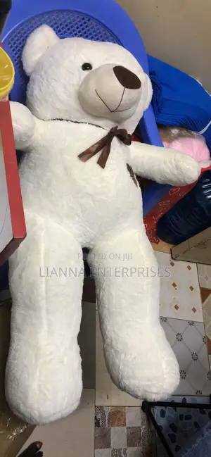 Big Smart Teddy Bear