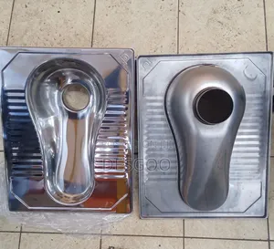 Stainless Step Asian Toilet