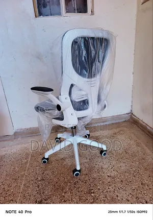 Ergonomics Mesh Adjustable Seat