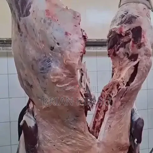 Quality Fresh Beef Meat