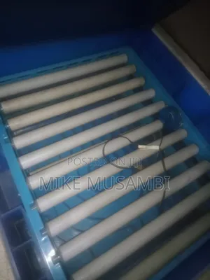 128 Eggs Incubator