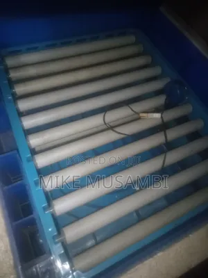 128 Eggs Incubator