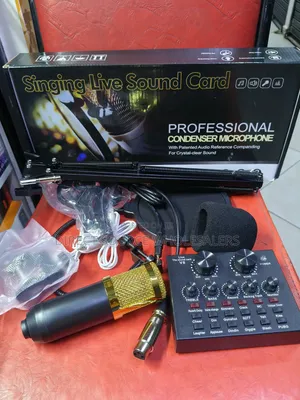 BM-800 Professional Recording Microphone + V8 Audio Interface