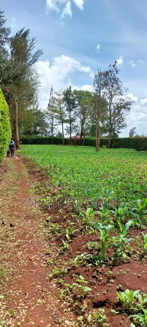Runda Plot on Sale