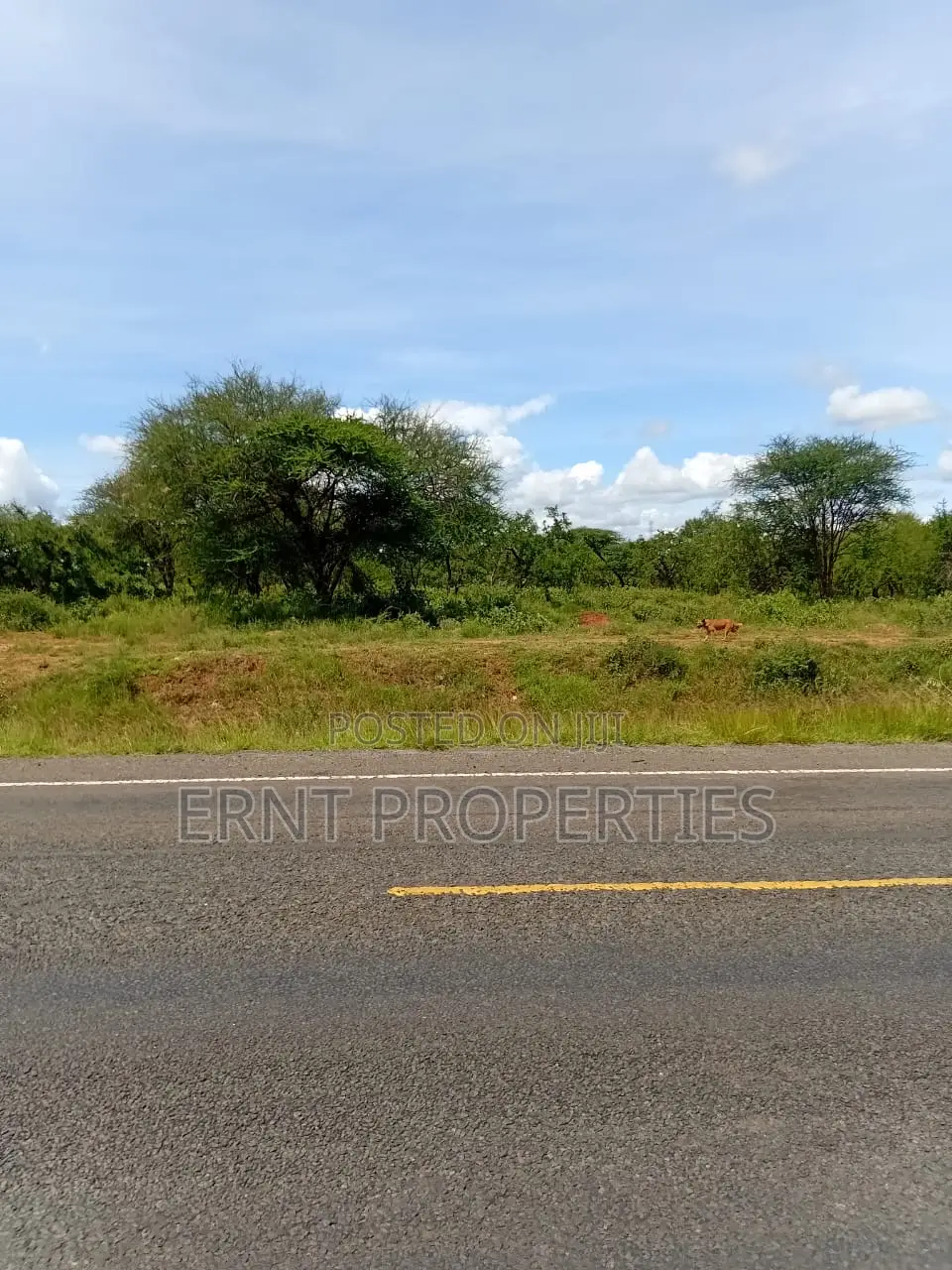 22.6 Acre Land for Sale in Maili Tisa