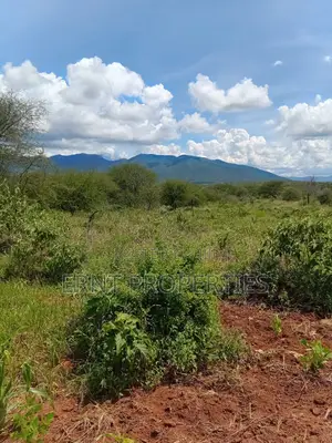 22.6 Acre Land for Sale in Maili Tisa