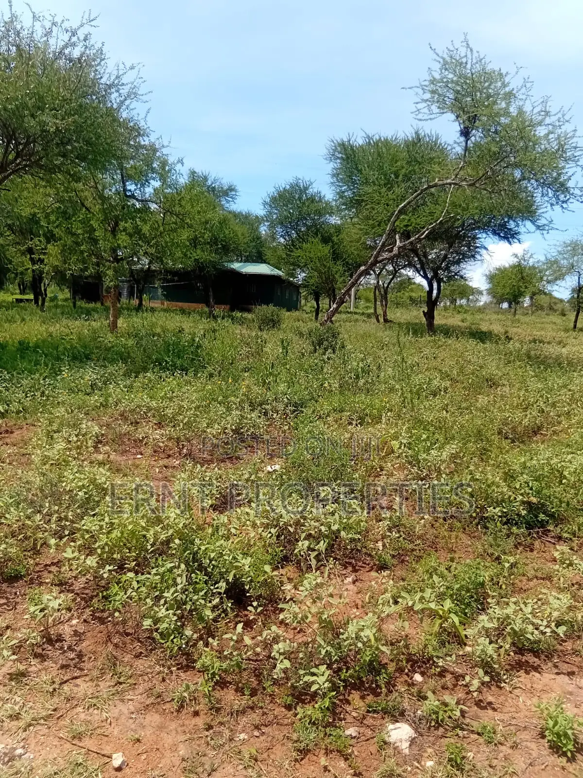 22.6 Acre Land for Sale in Maili Tisa