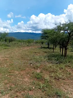 22.6 Acre Land for Sale in Maili Tisa
