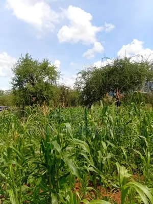 22.6 Acre Land for Sale in Maili Tisa