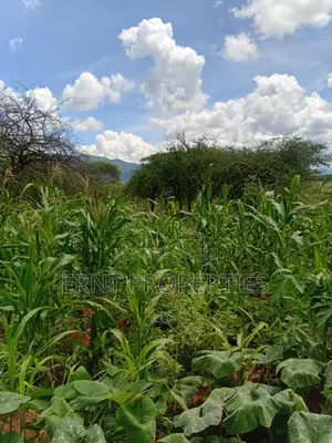 22.6 Acre Land for Sale in Maili Tisa