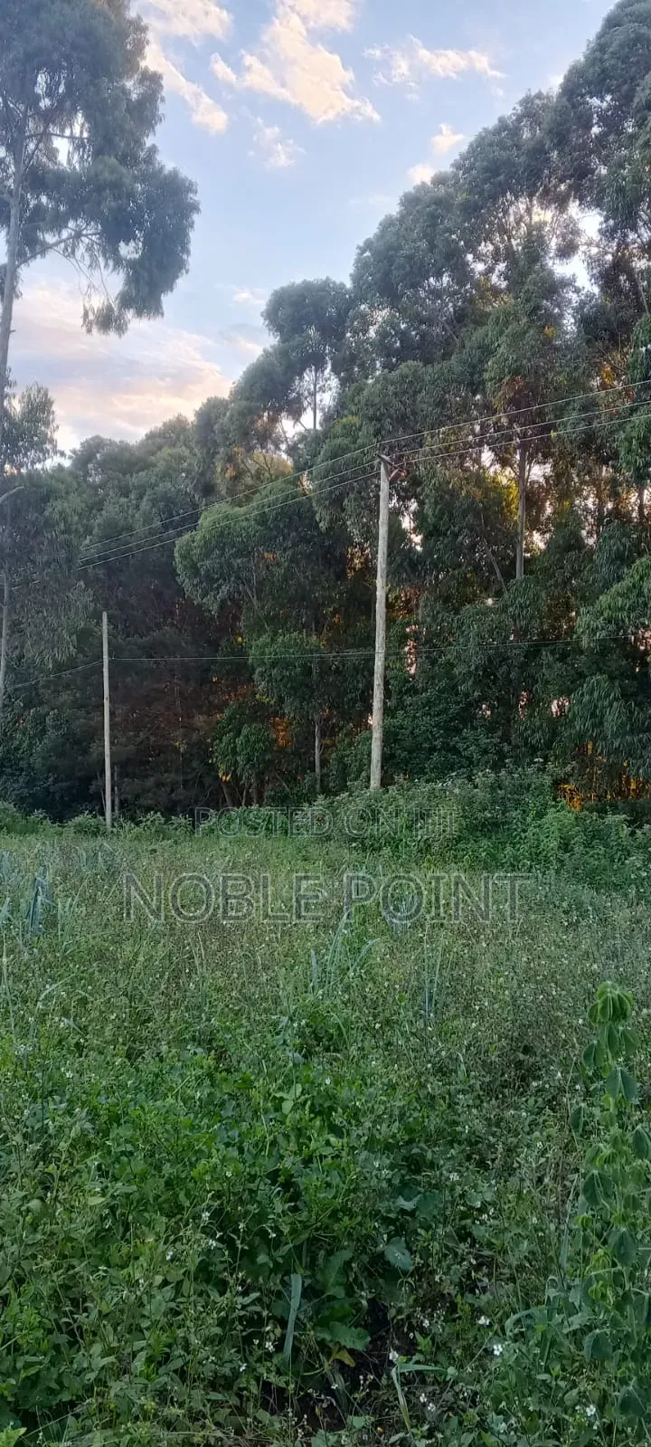 Waiyaki Way Plot on Sale