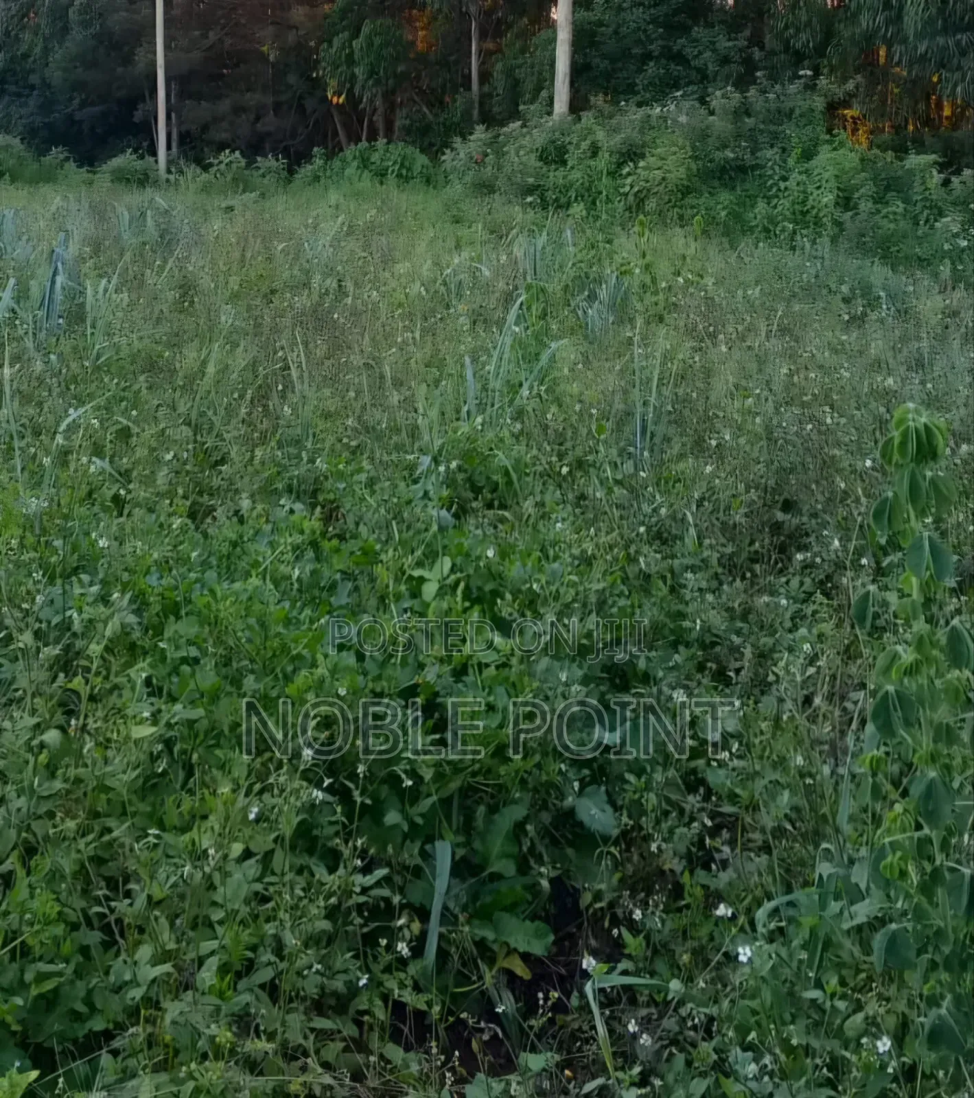 Waiyaki Way Plot on Sale