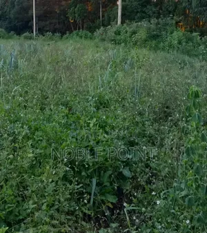 Waiyaki Way Plot on Sale