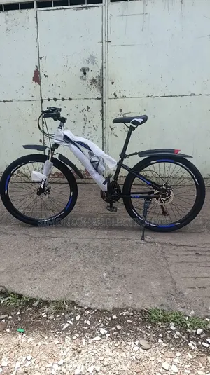 Beijing Bike Size 26