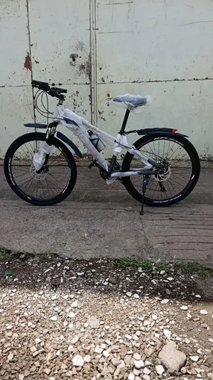 Beijing Bike Size 26