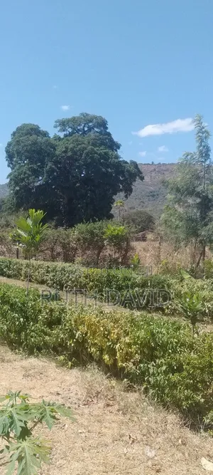Land and Property for Sale