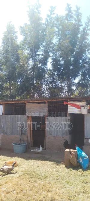 Land and Property for Sale