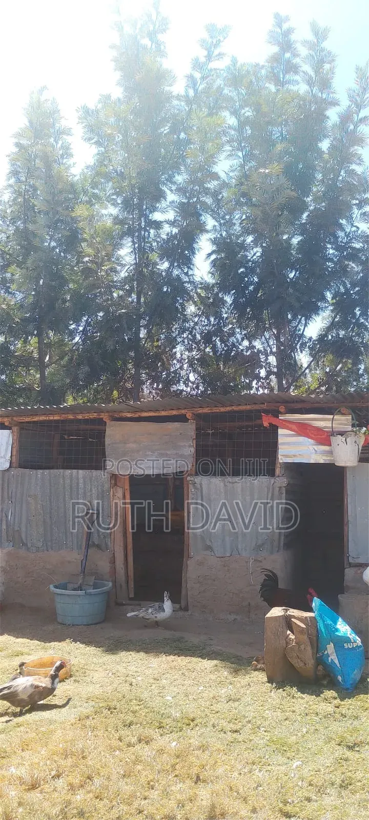 Land and Property for Sale