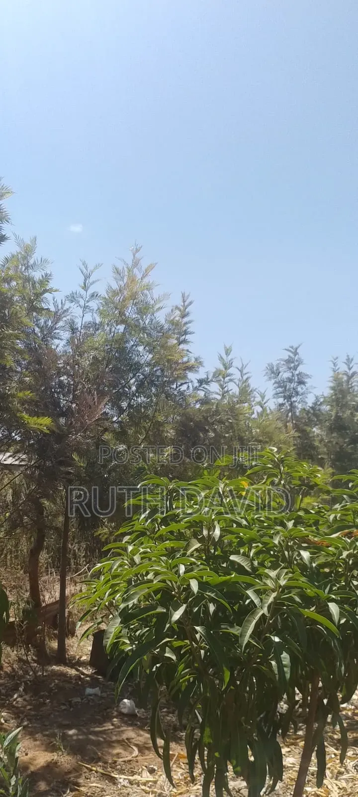 Land and Property for Sale
