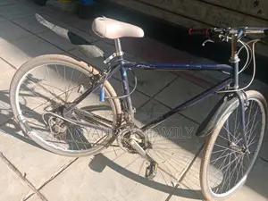 Progear Speed Bike