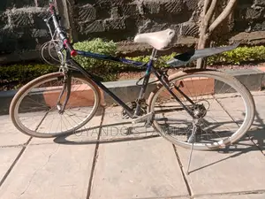 Progear Speed Bike