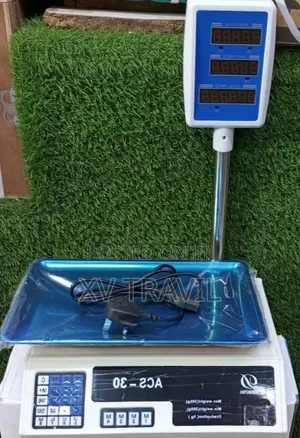 Dahongying ACS-30 Digital Price Computing Weighing Scale