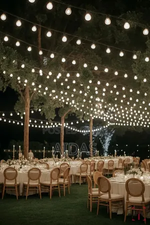 Fairy Lights Rental