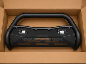 Black Nudge Bar With 2 LED Lights