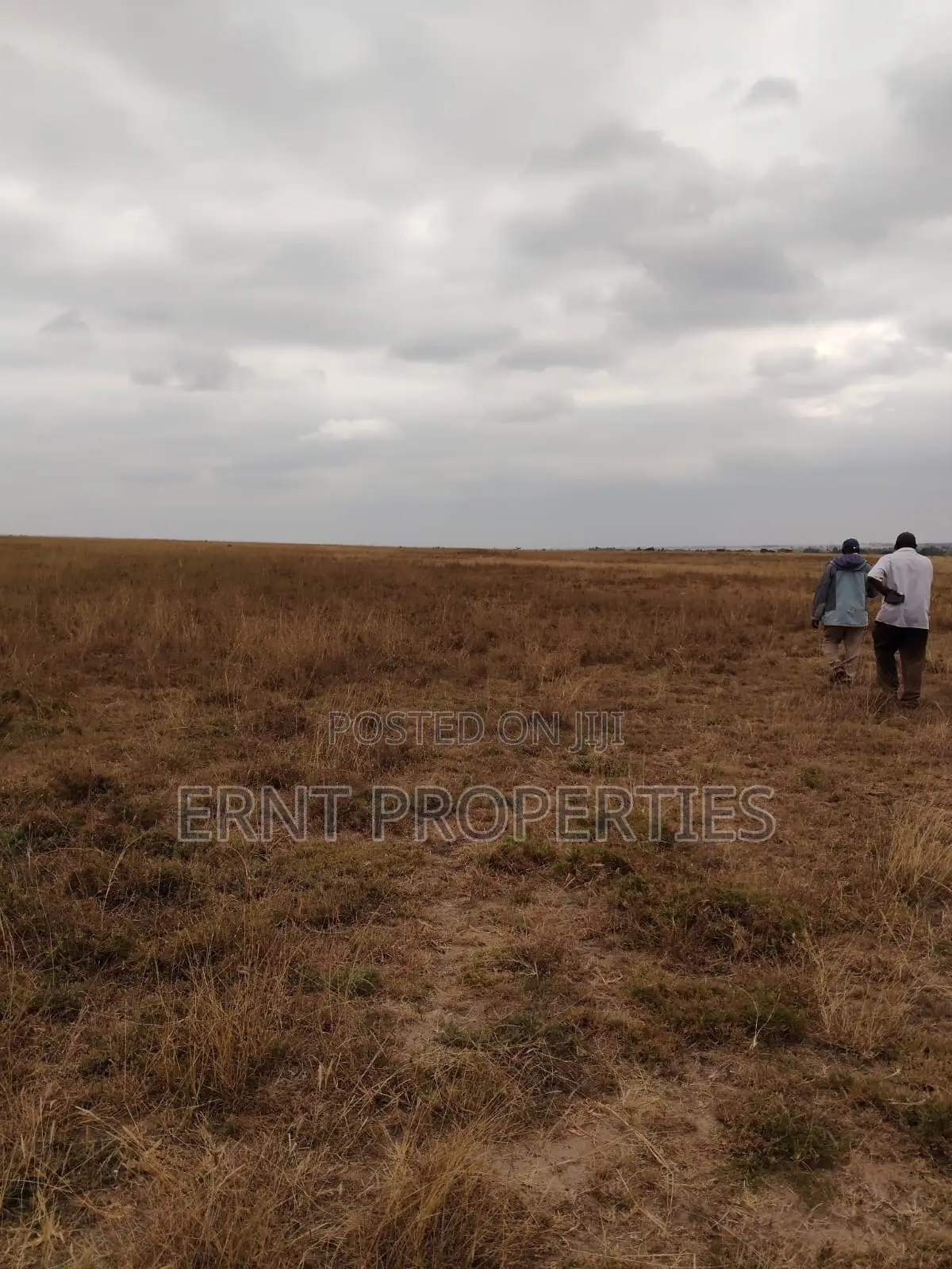 Prime 5 Acre Land Near Waumini Sacco, Lukenya Views