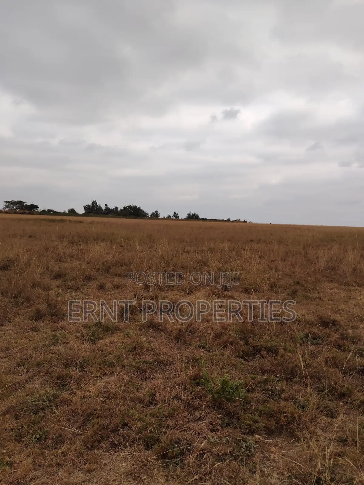 Prime 5 Acre Land Near Waumini Sacco, Lukenya Views