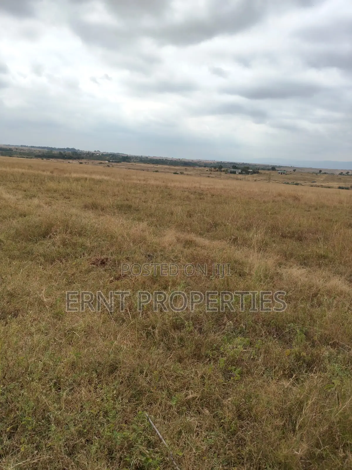 Prime 5 Acre Land Near Waumini Sacco, Lukenya Views