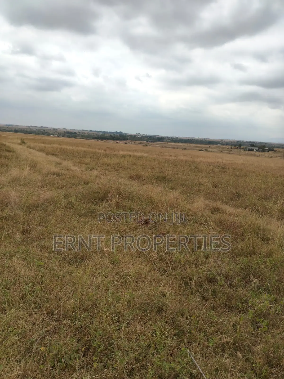 Prime 5 Acre Land Near Waumini Sacco, Lukenya Views