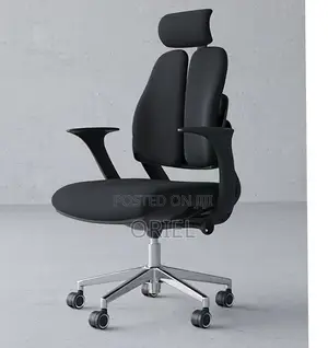 Office Chair : Dual Backrest Executive Orthopedic Office Chair