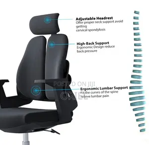 Office Chair : Dual Backrest Executive Orthopedic Office Chair