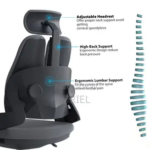 Office Chair : Dual Backrest Executive Orthopedic Office Chair