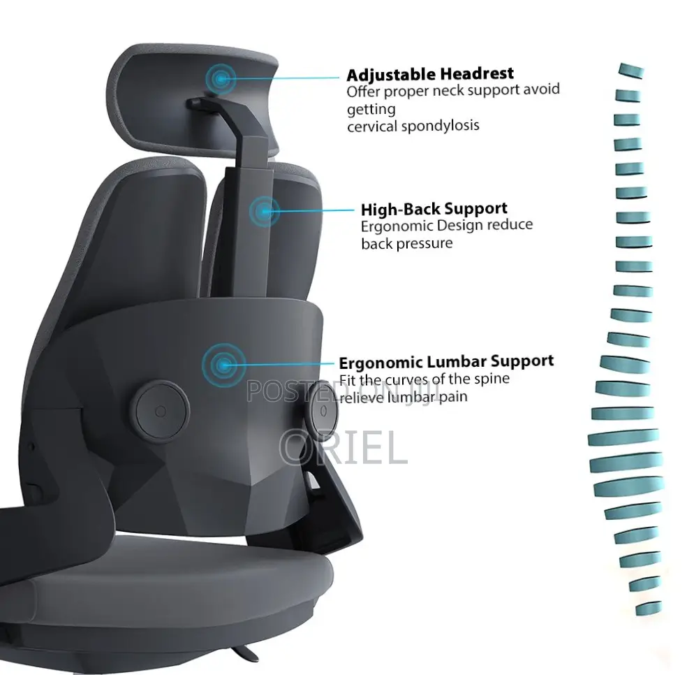 Office Chair : Dual Backrest Executive Orthopedic Office Chair