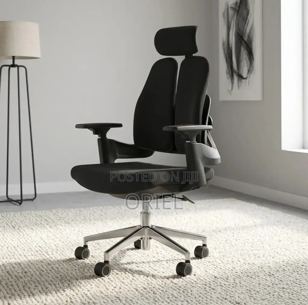 Office Chair : Dual Backrest Executive Orthopedic Office Chair