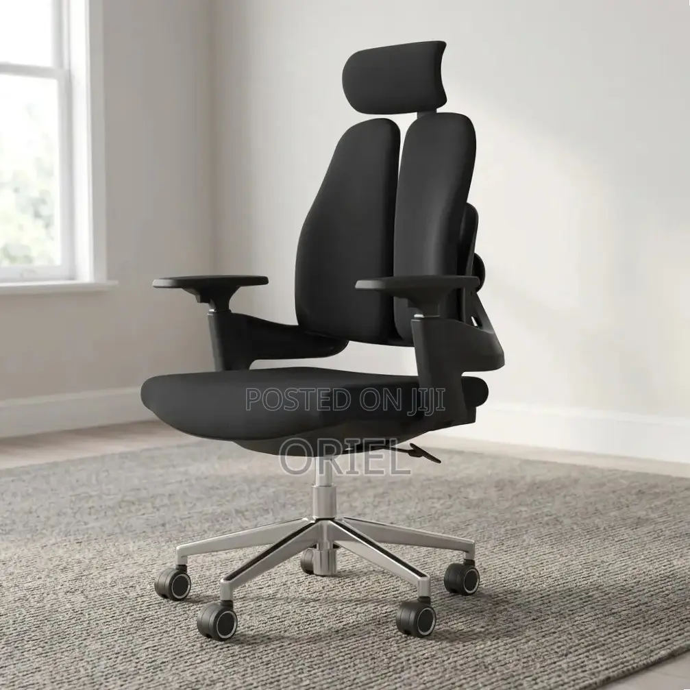 Office Chair : Dual Backrest Executive Orthopedic Office Chair