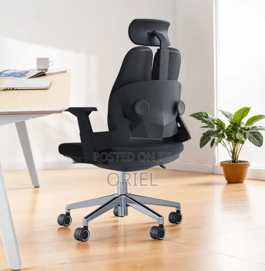 Office Chair : Dual Backrest Executive Orthopedic Office Chair