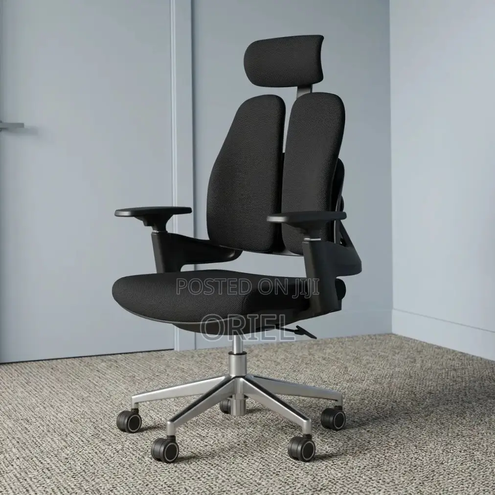 Office Chair : Dual Backrest Executive Orthopedic Office Chair