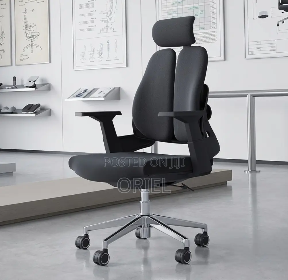 Office Chair : Dual Backrest Executive Orthopedic Office Chair