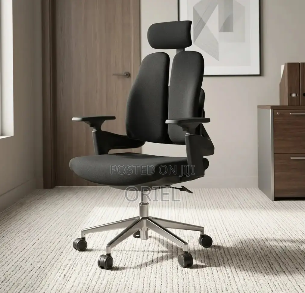 Office Chair : Dual Backrest Executive Orthopedic Office Chair
