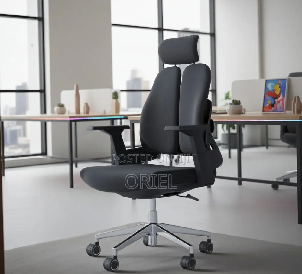 Office Chair : Dual Backrest Executive Orthopedic Office Chair
