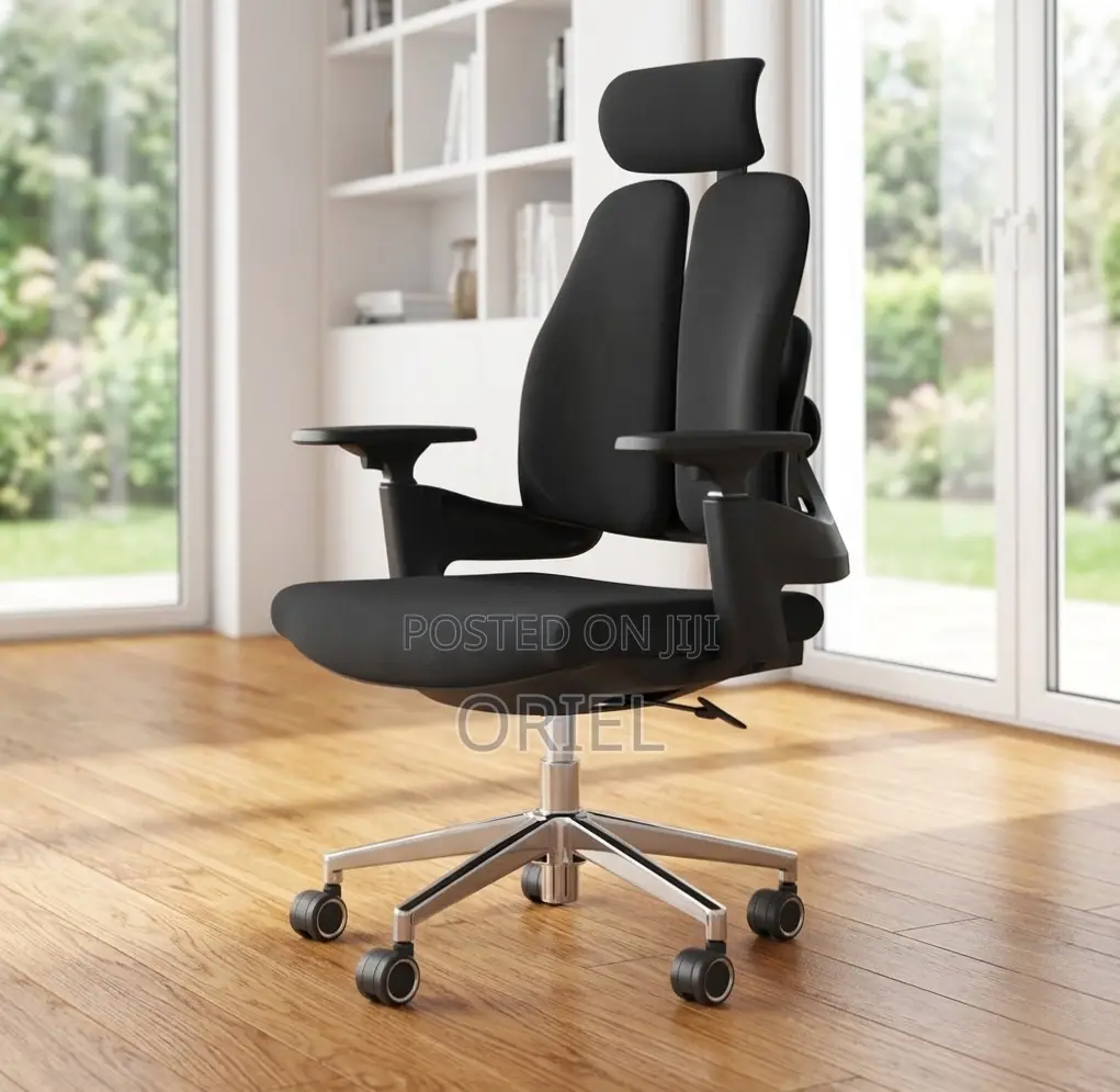 Office Chair : Dual Backrest Executive Orthopedic Office Chair