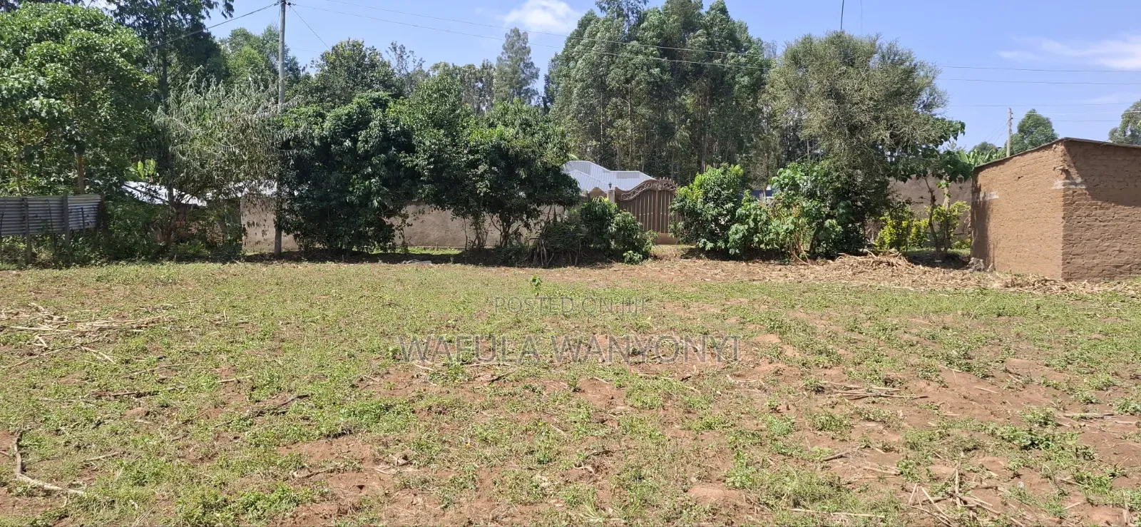 50 by 100 TUUTI Wanangali