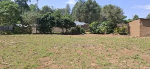 50 by 100 TUUTI Wanangali