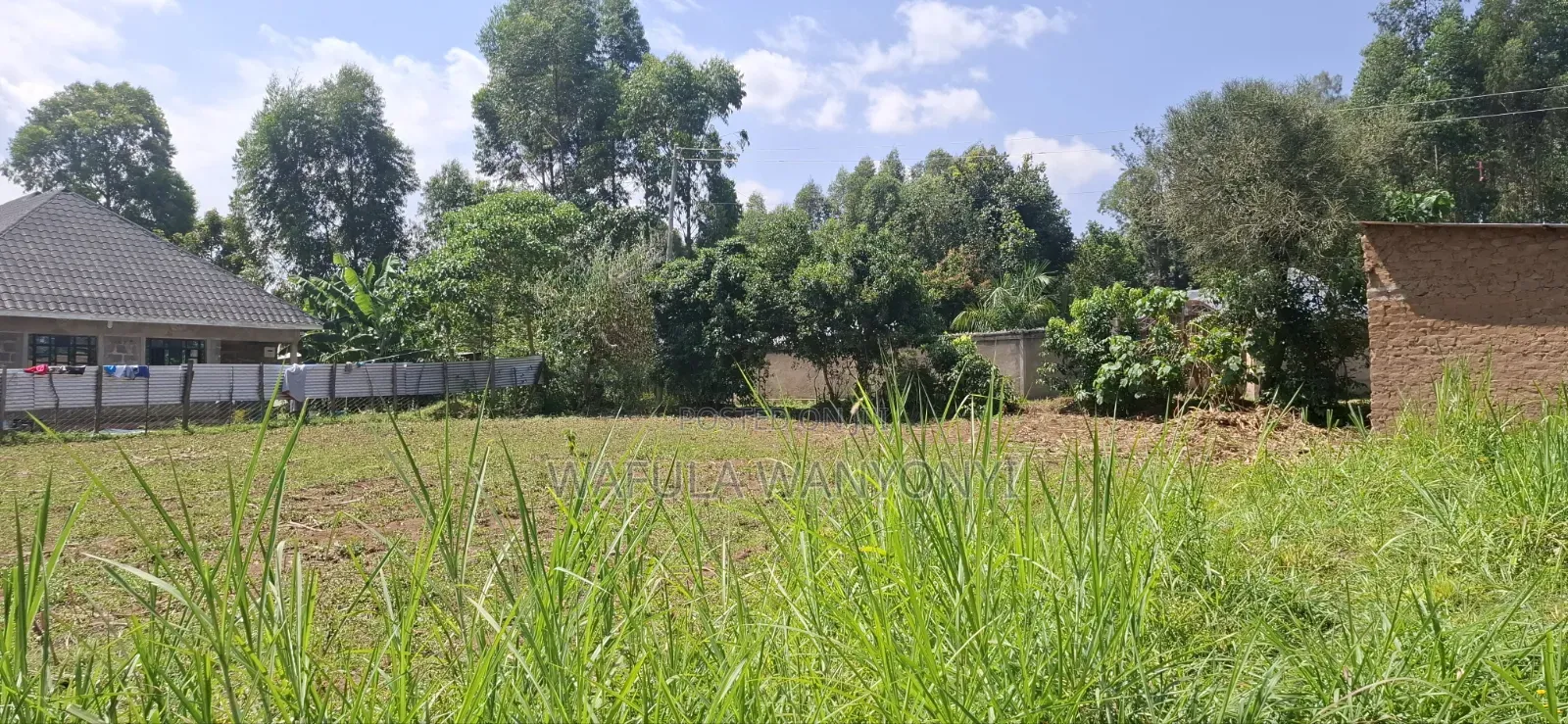 50 by 100 TUUTI Wanangali