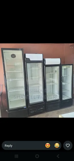 300litres Showcase Chiller