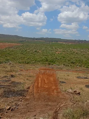 Residential or Investment Plots in Nachu