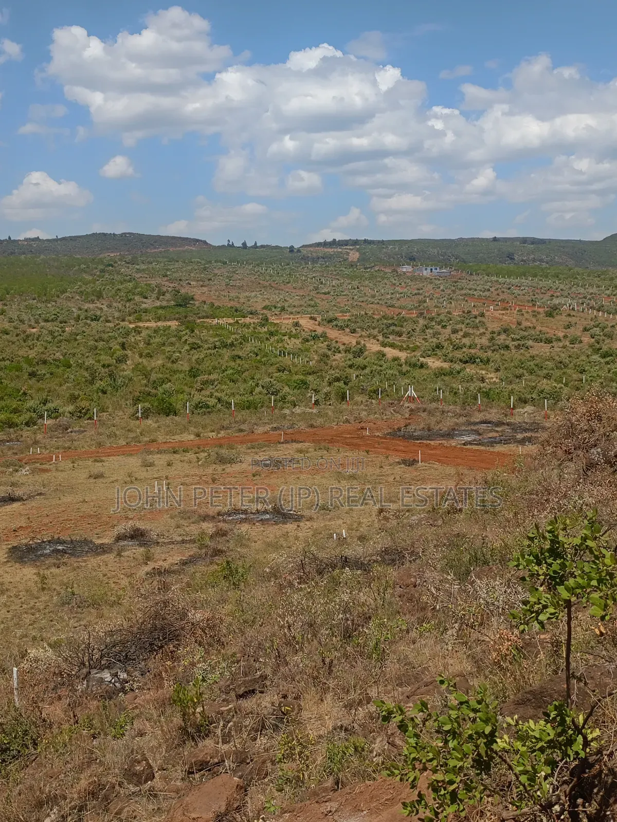 Residential or Investment Plots in Nachu